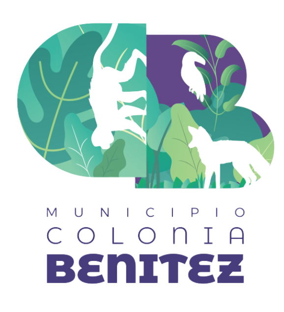 Municipios de Chaco